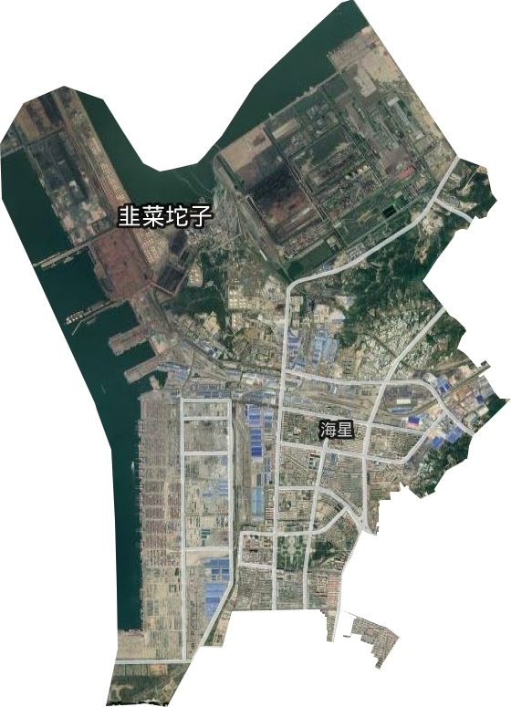 海星街道衛星圖