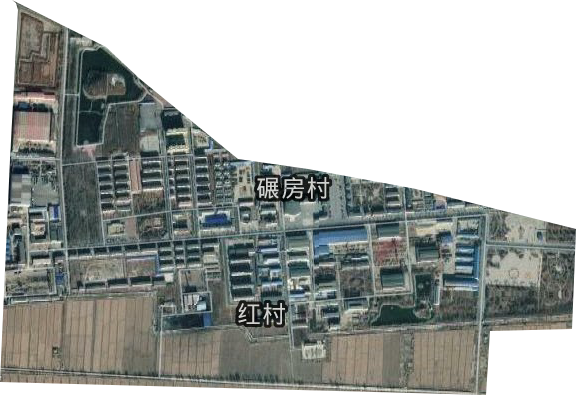 紅村街道衛星圖