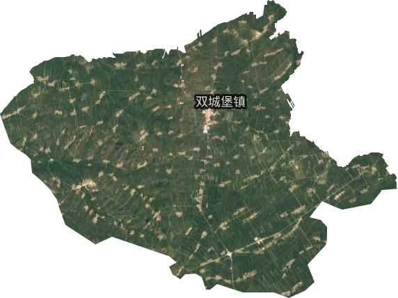 雙城堡鎮衛星圖