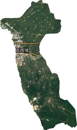 賓西鎮衛星圖