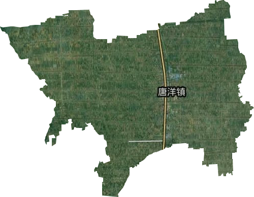 唐洋鎮衛星圖