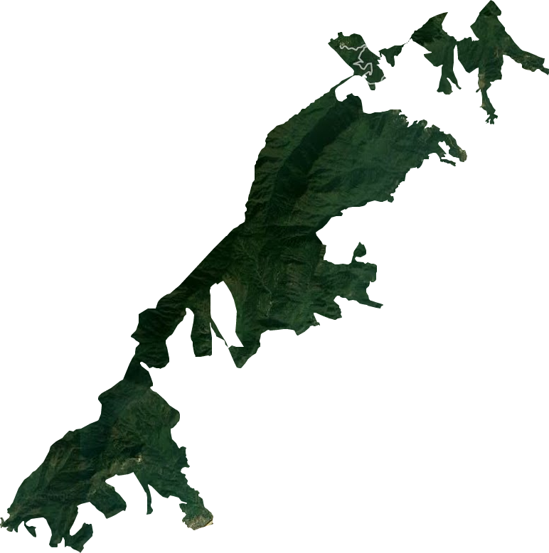 東牯山林場衛星圖