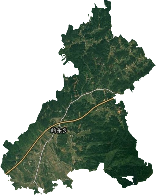 嶺東鄉衛星圖