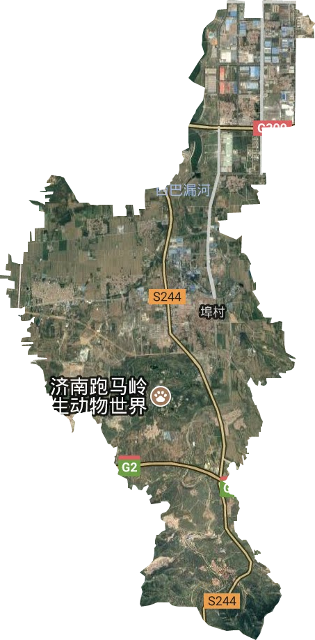 埠村街道衛星圖