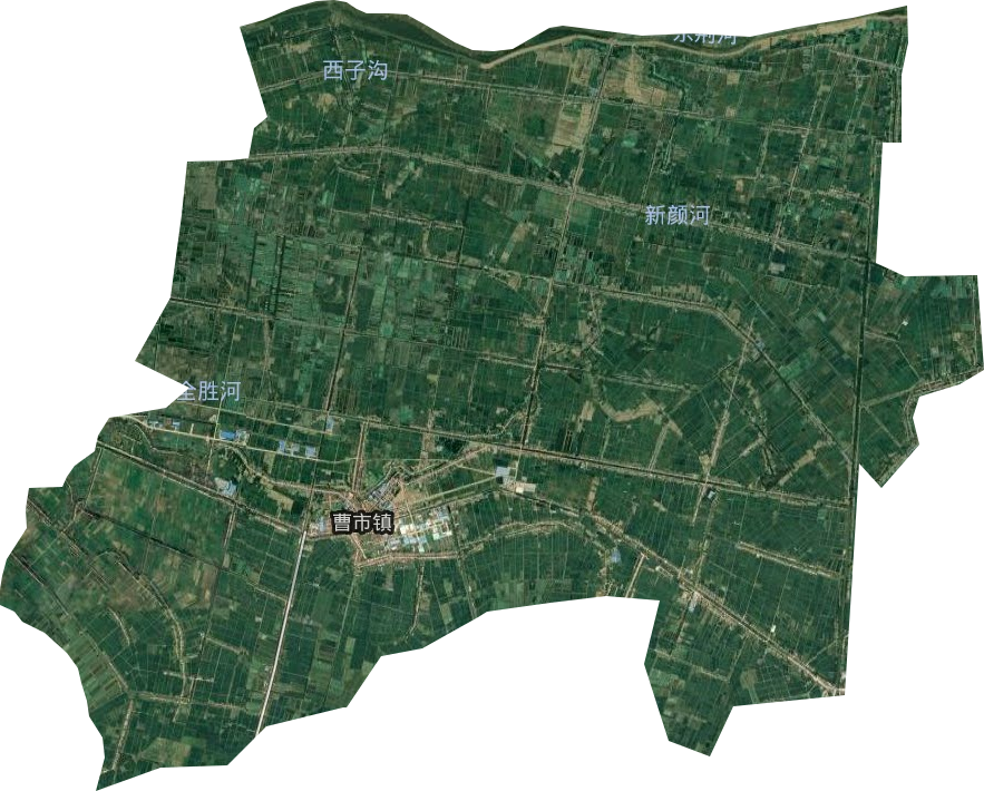 曹市鎮(zhèn)衛(wèi)星圖