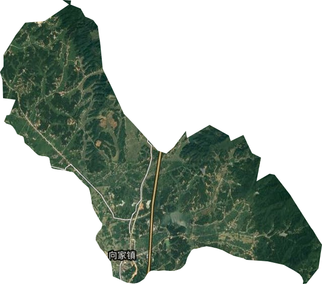 向家鎮衛星圖