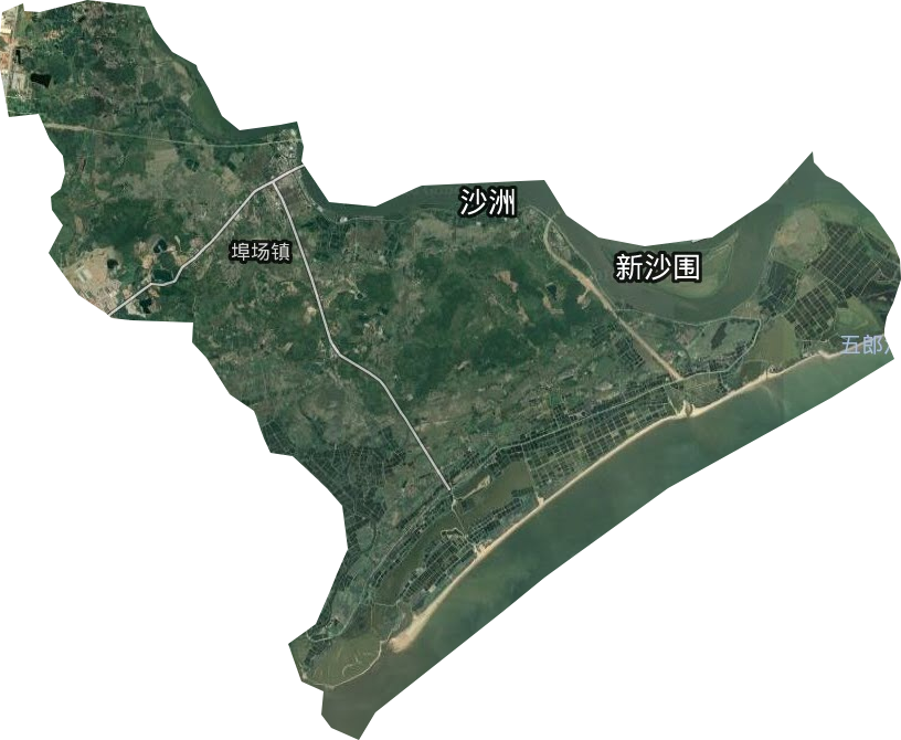 埠場鎮(zhèn)衛(wèi)星圖