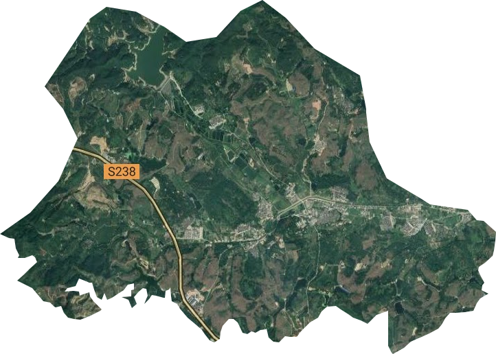 大池農場衛星圖
