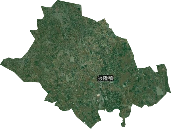 興隆鎮(zhèn)衛(wèi)星圖