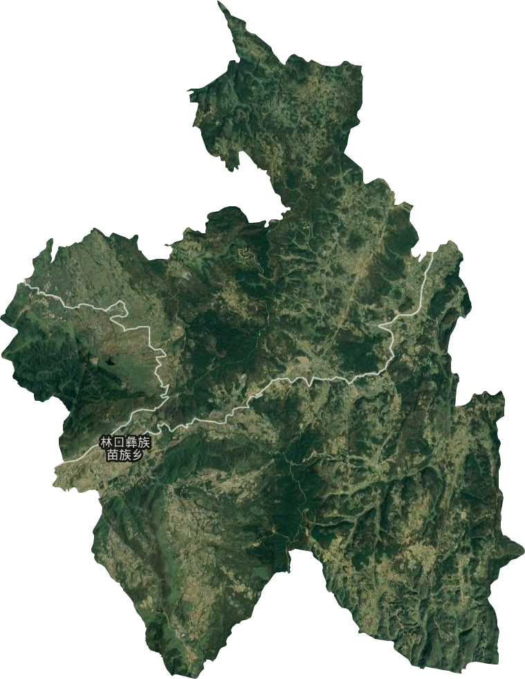 林口彝族苗族鄉衛星圖