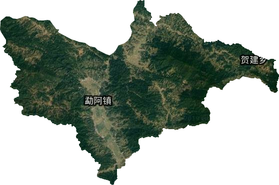 勐阿鎮衛星圖