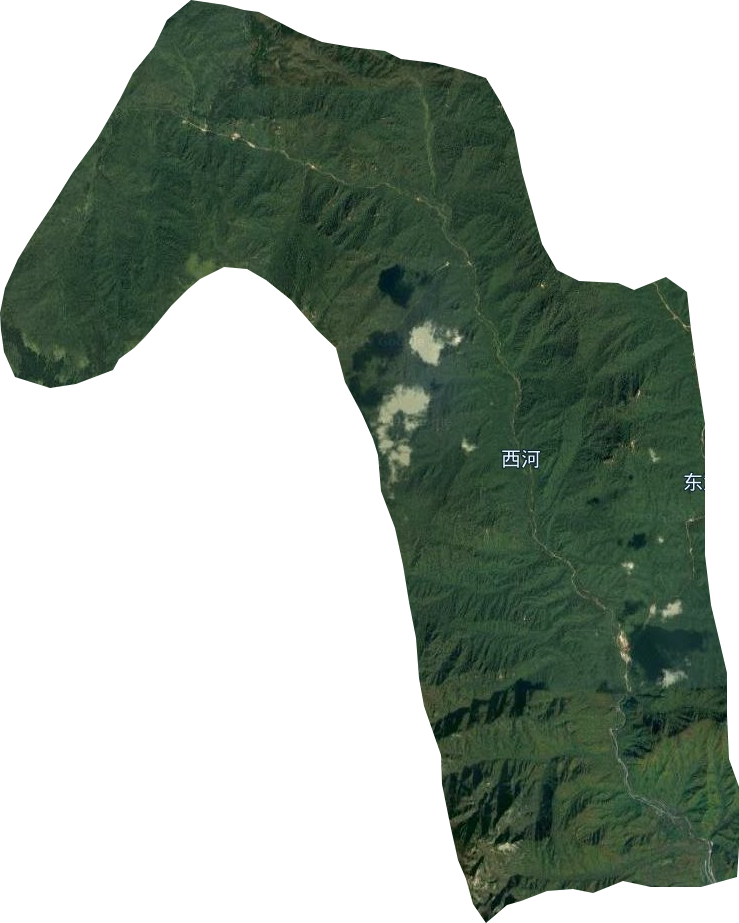 辛家山林業場衛星圖