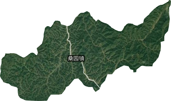 桑園鎮衛星圖