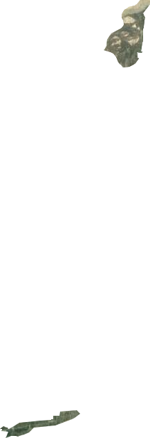 五一林場衛星圖