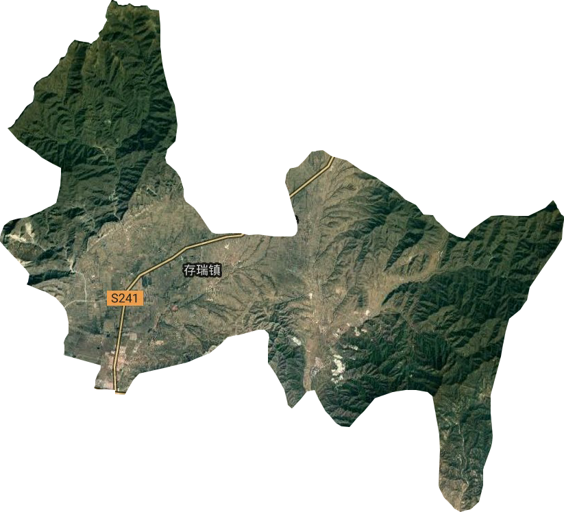 存瑞鎮(zhèn)衛(wèi)星圖