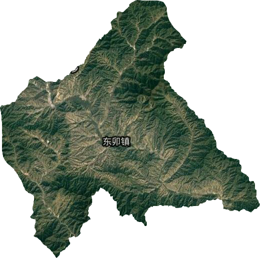 東卯鎮衛星圖