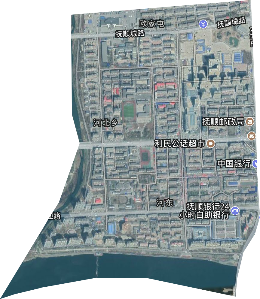 河東街道衛星圖