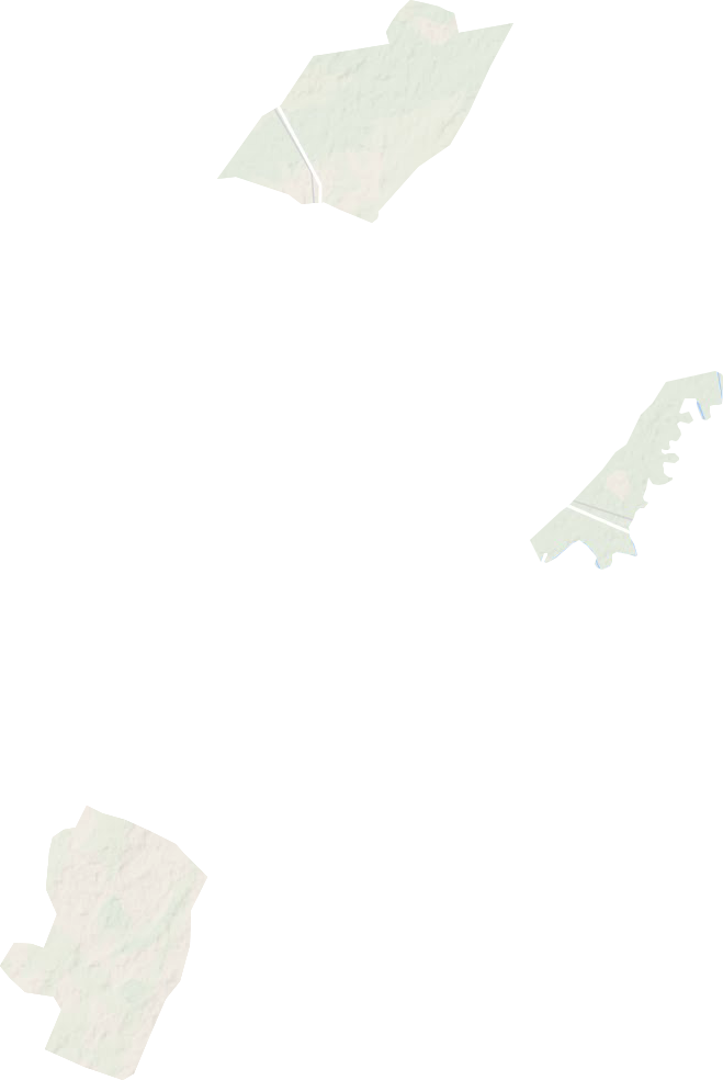 付家林場(chǎng)地形圖