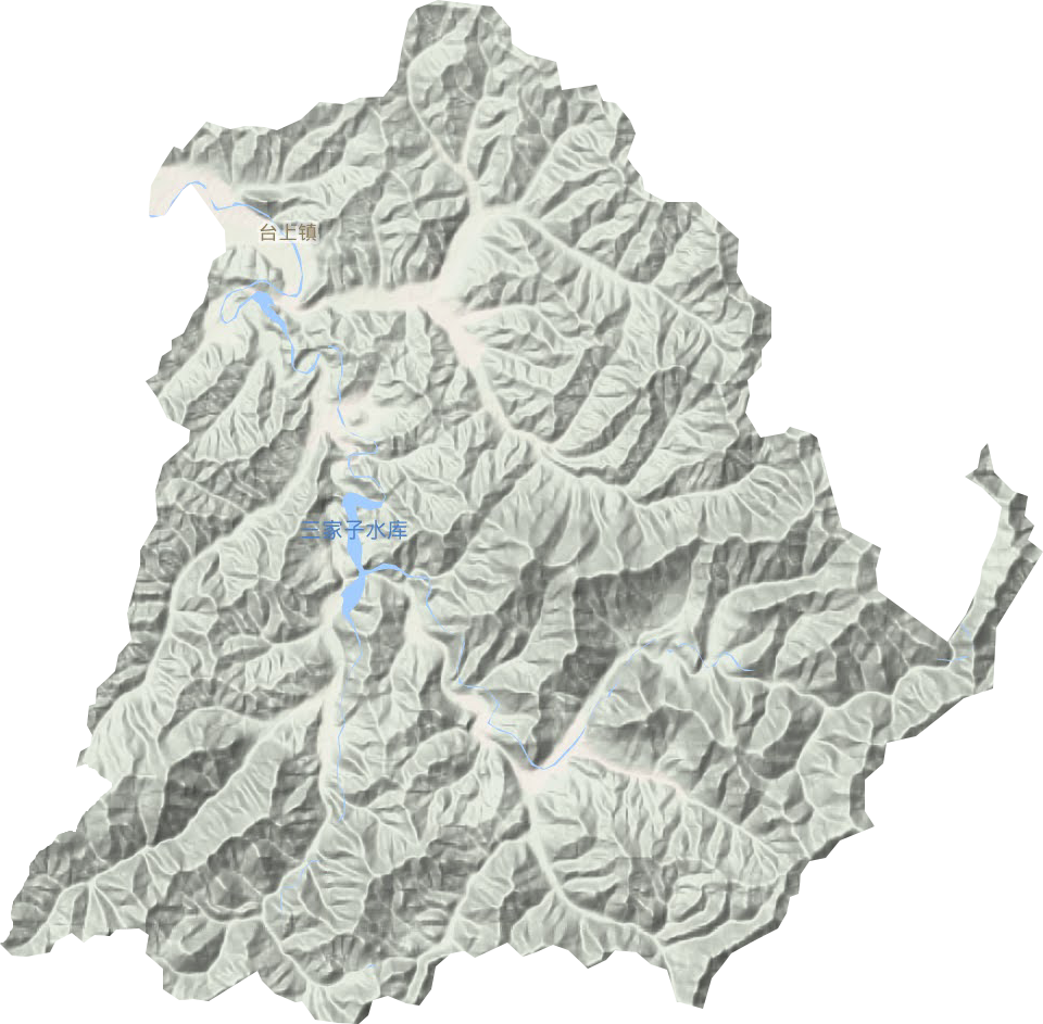 臺上鎮地形圖