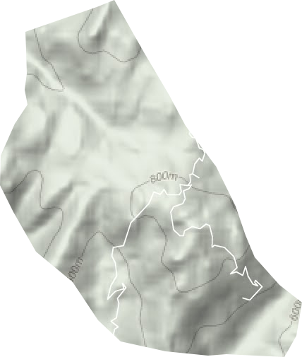 黃獅寨林場地形圖