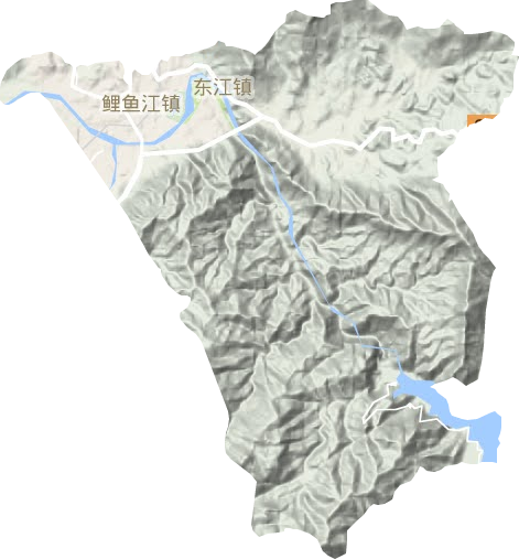 東江街道地形圖