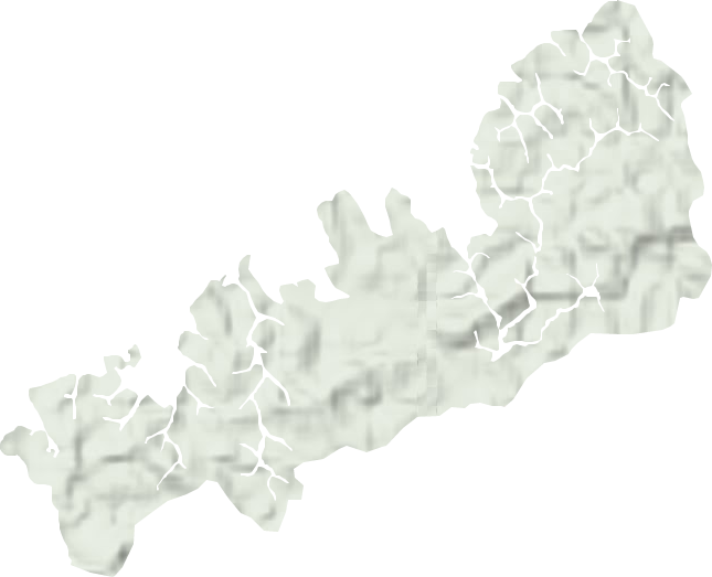 云浮市國(guó)有水臺(tái)林場(chǎng)地形圖