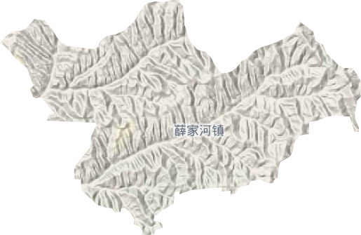 薛家河鎮地形圖