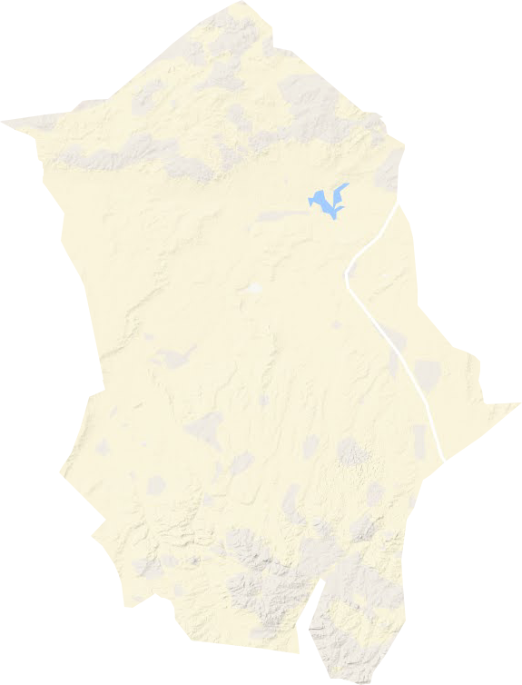 巴音花鎮(zhèn)地形圖